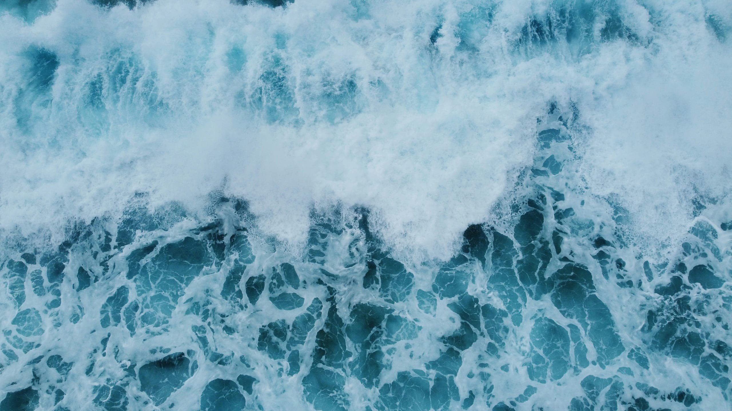 Ocean — regenerative systems