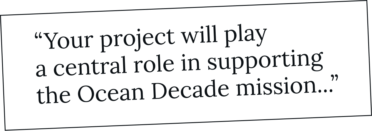 “Your project will play a central role in supporting the Ocean Decade mission…”