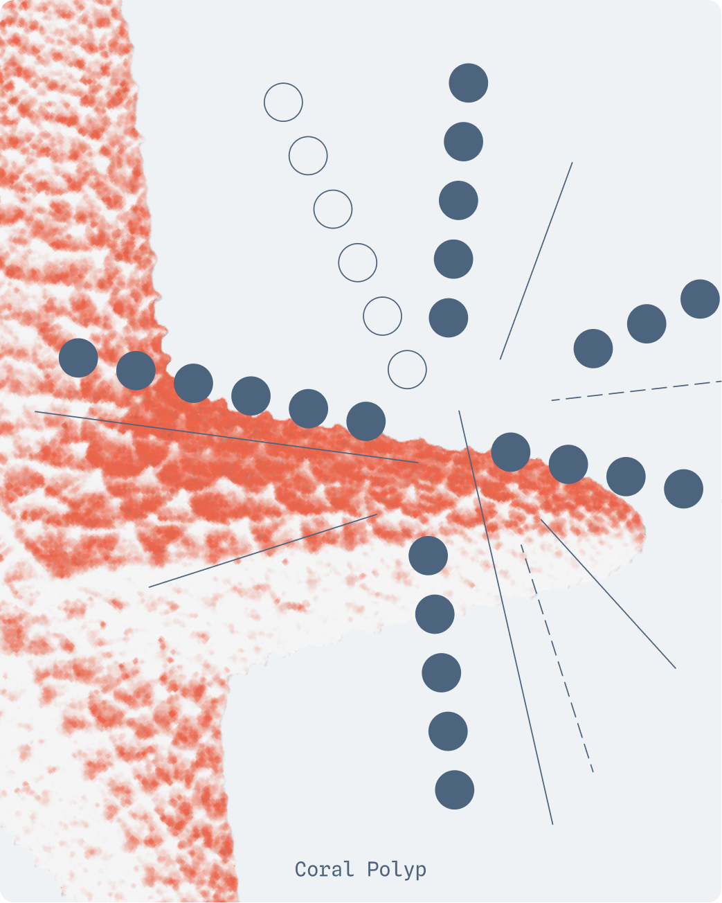 Data forms