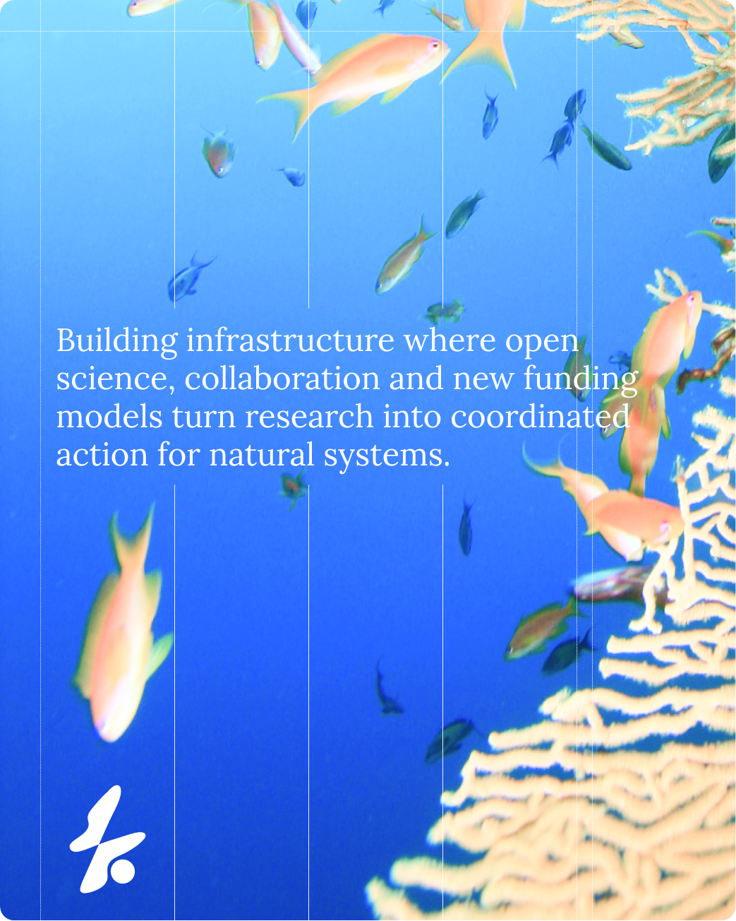 Reef infrastructure card