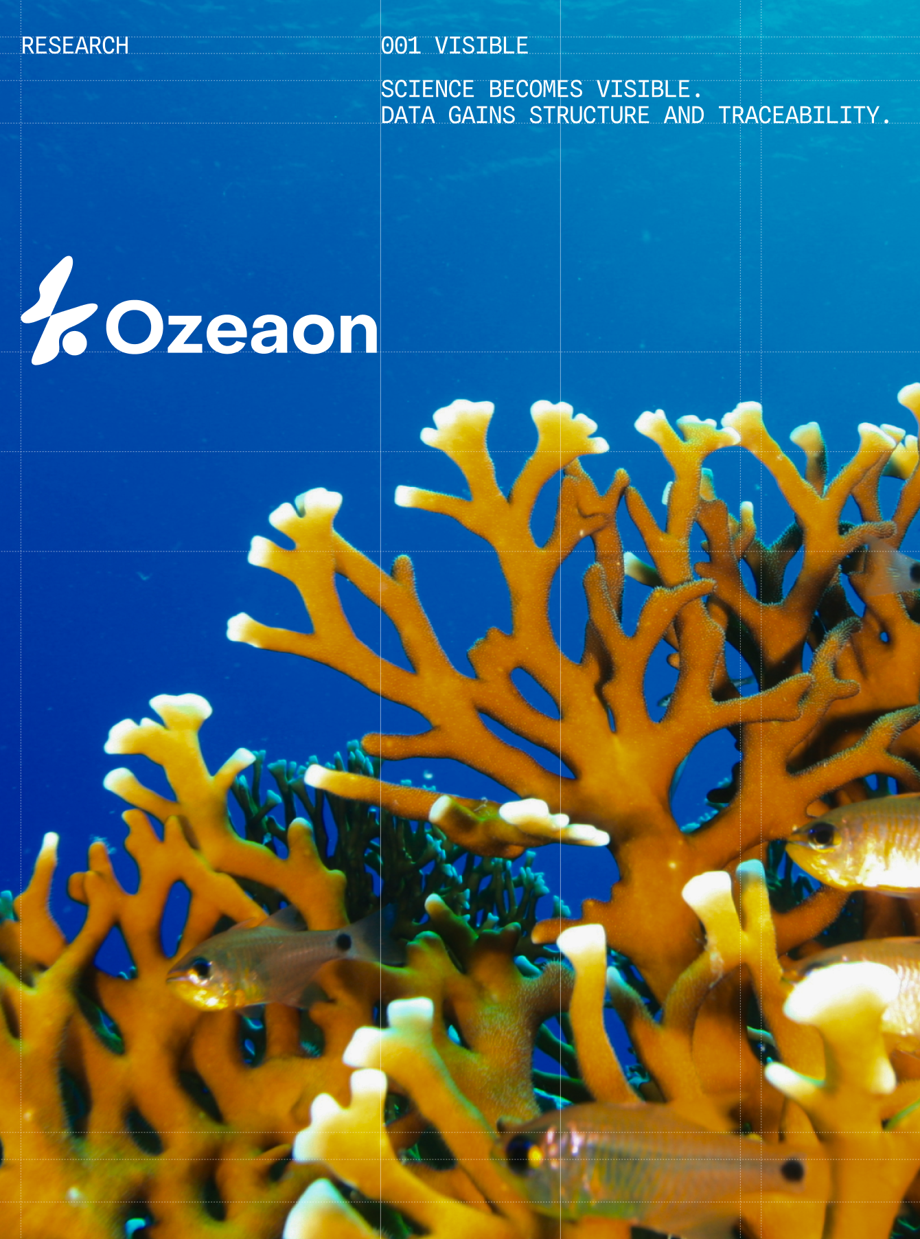 Research — Coral reef