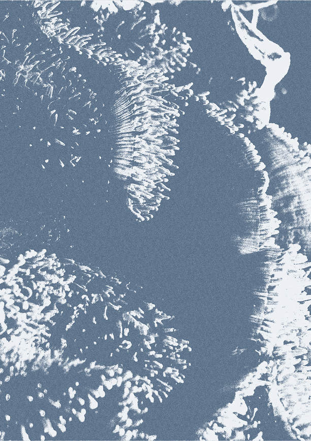 Abstract satellite texture of a coastline
