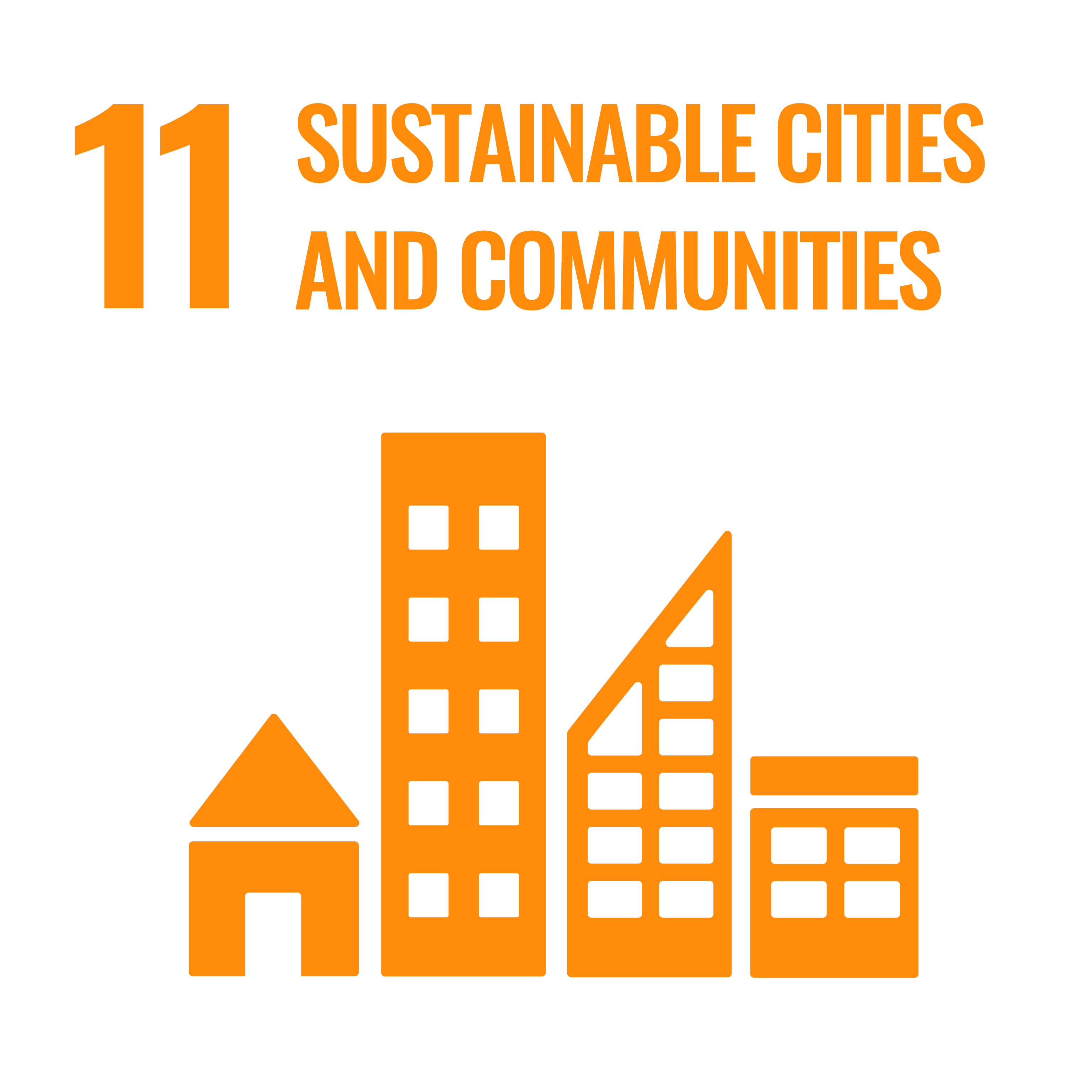 SDG 11 Sustainable Cities and Communities