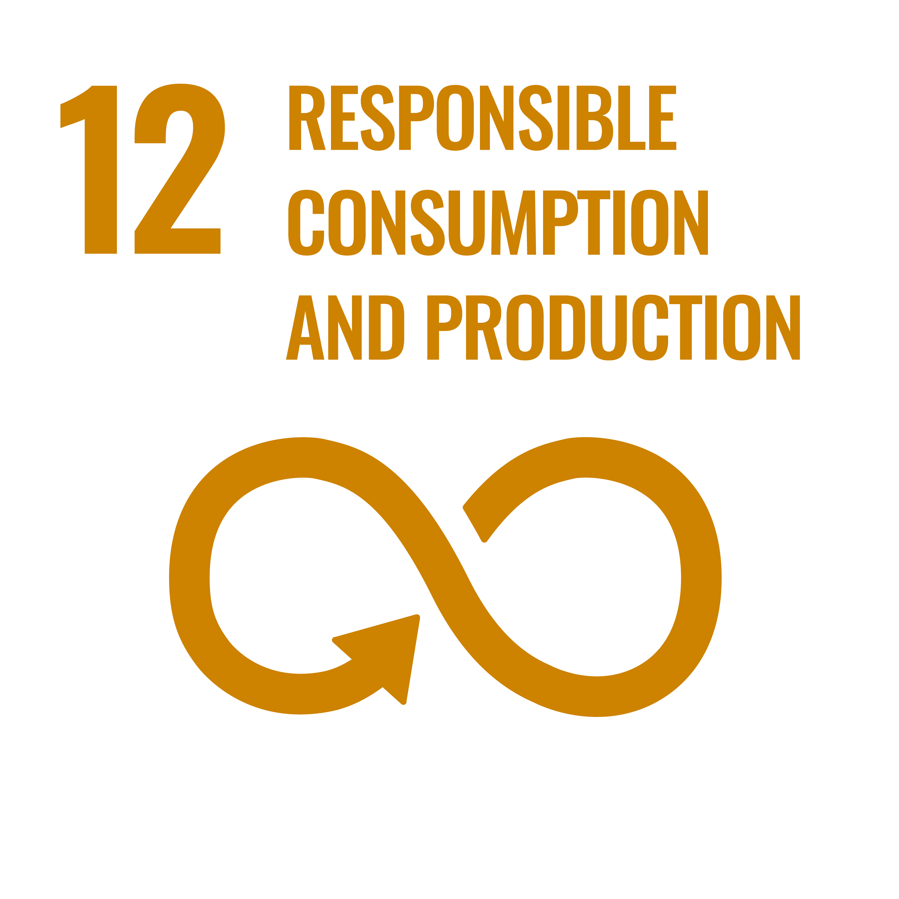 SDG 12 Responsible Consumption and Production