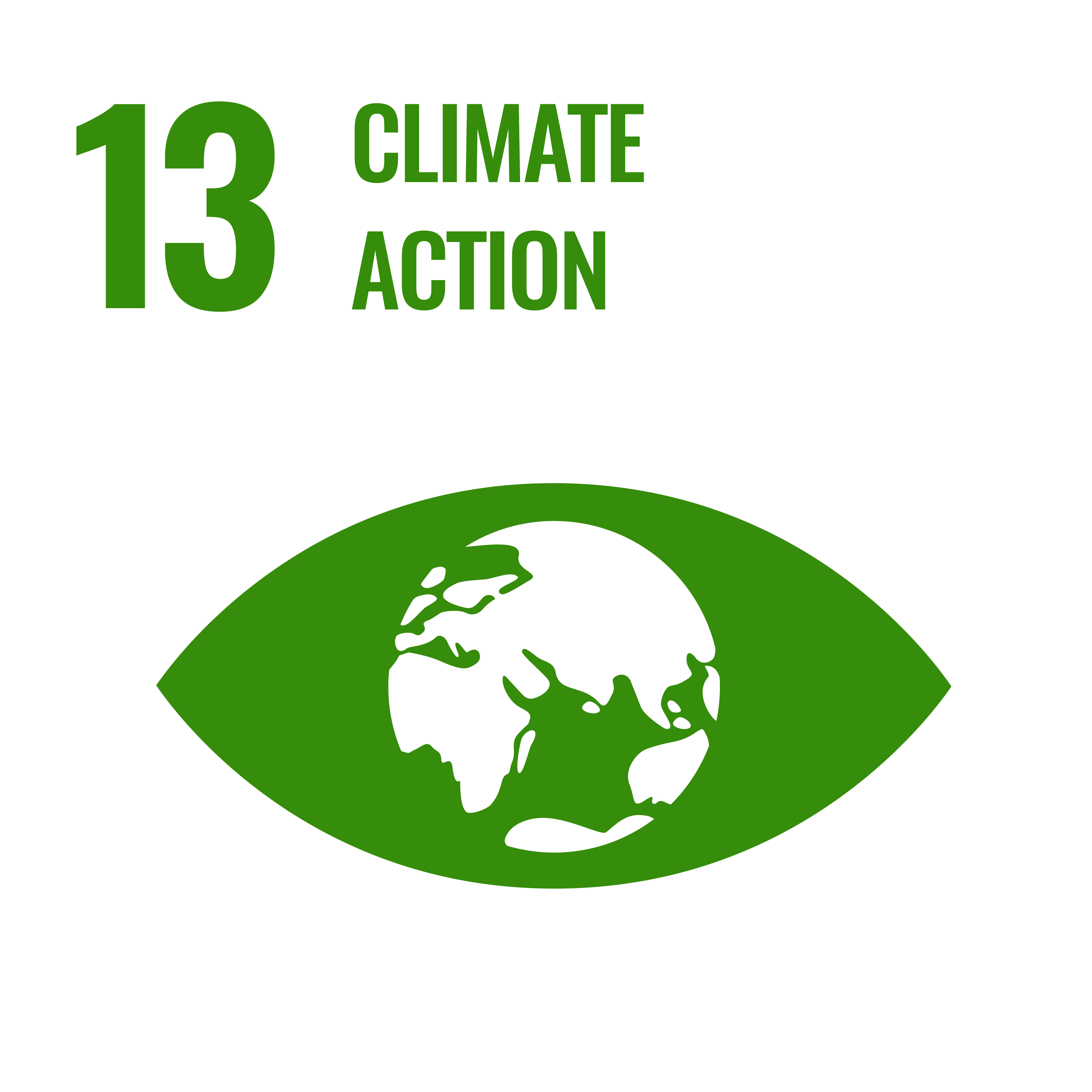 SDG 13 Climate Action