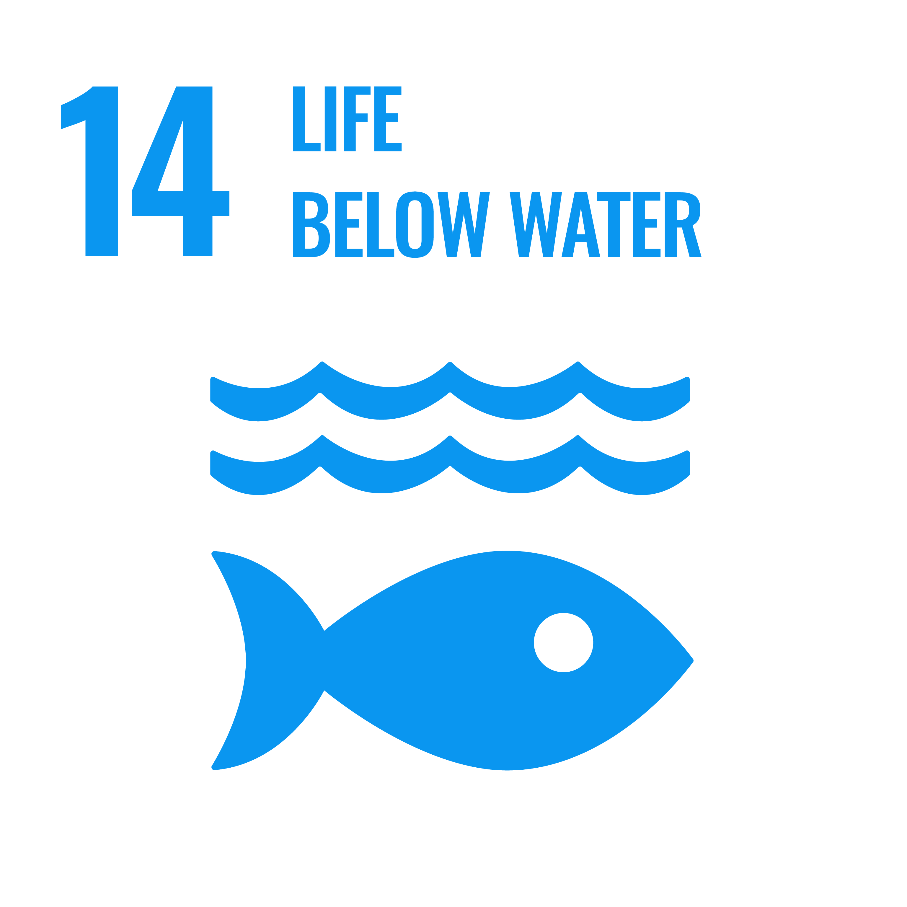 SDG 14 Life Below Water