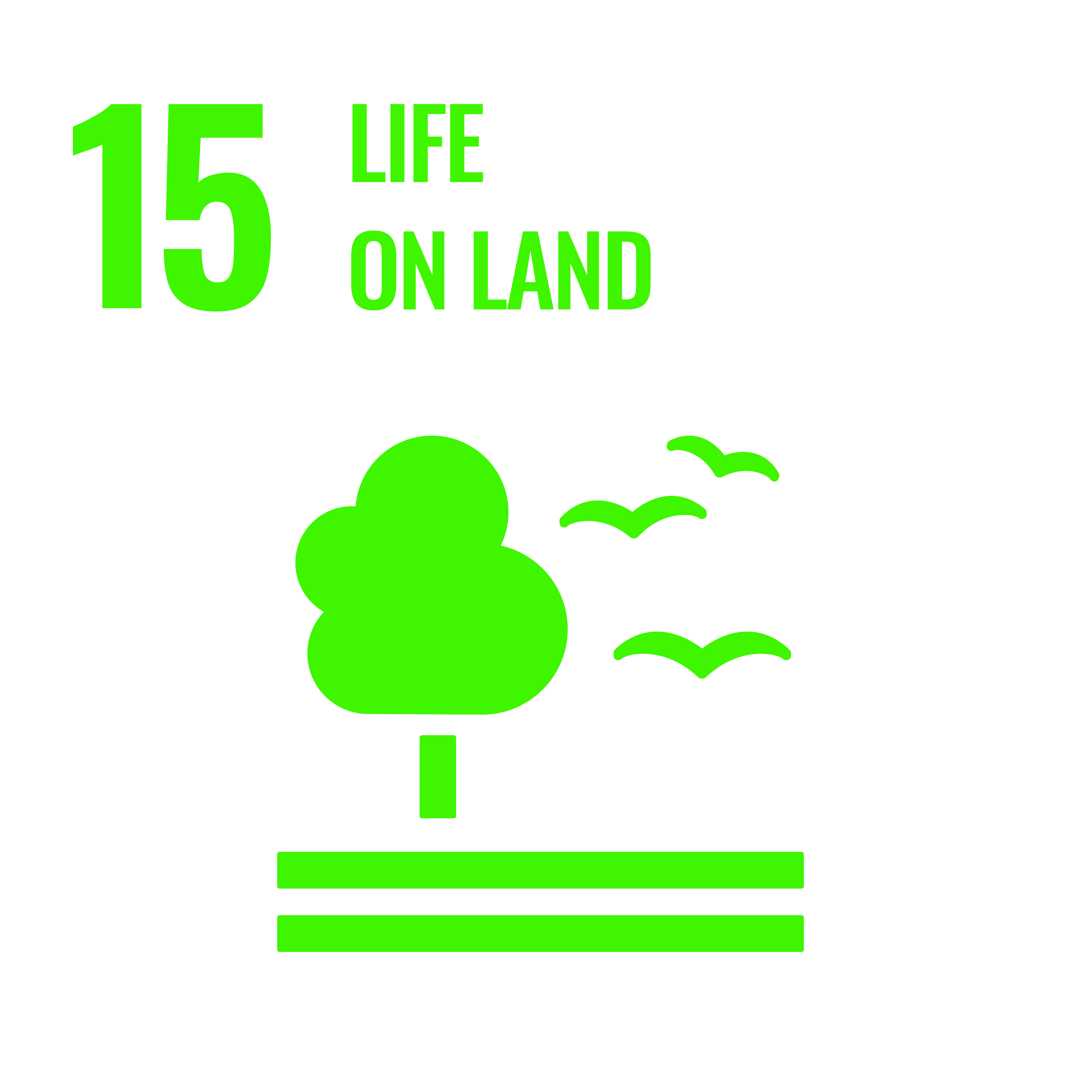 SDG 15 Life on Land