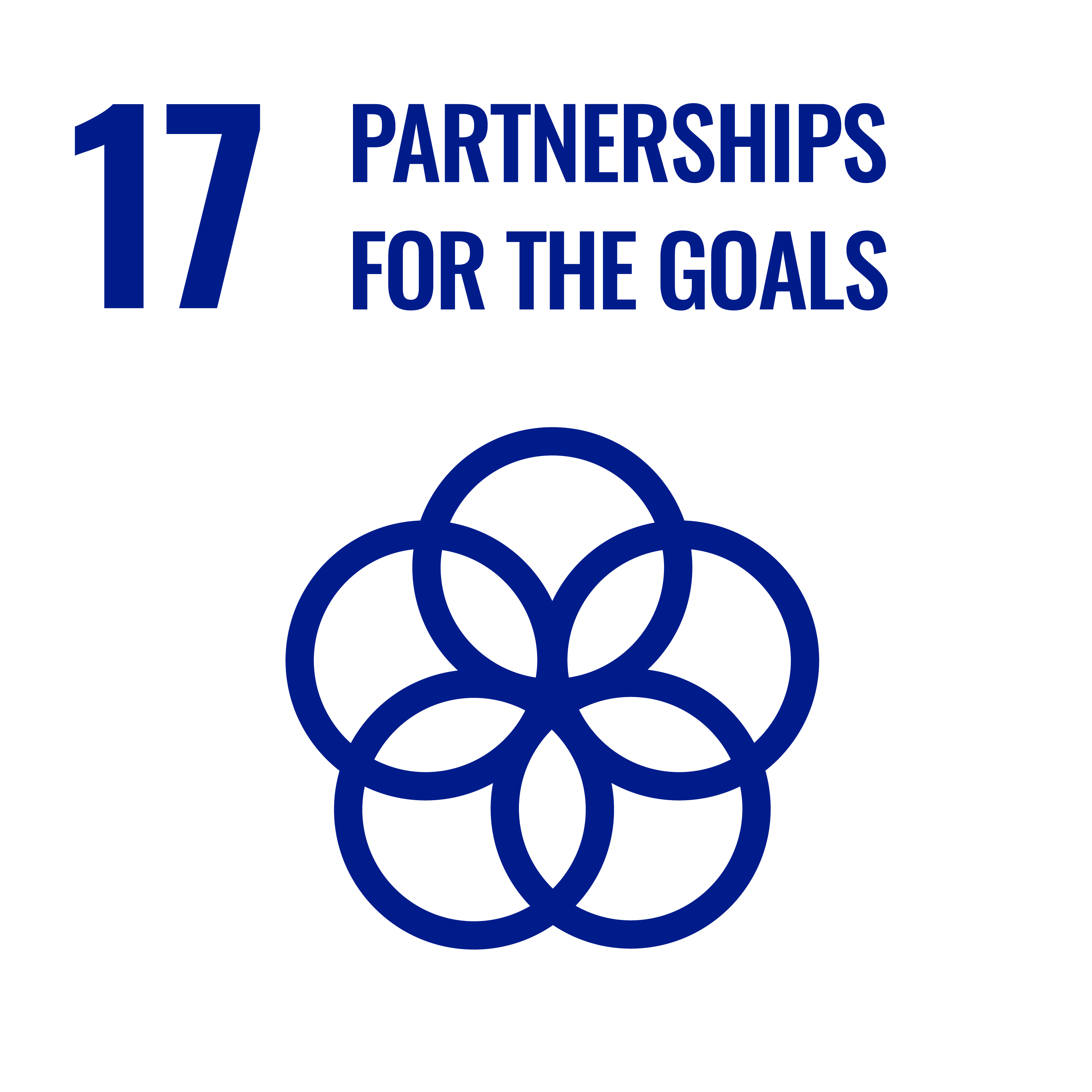 SDG 17 Partnerships for the Goals