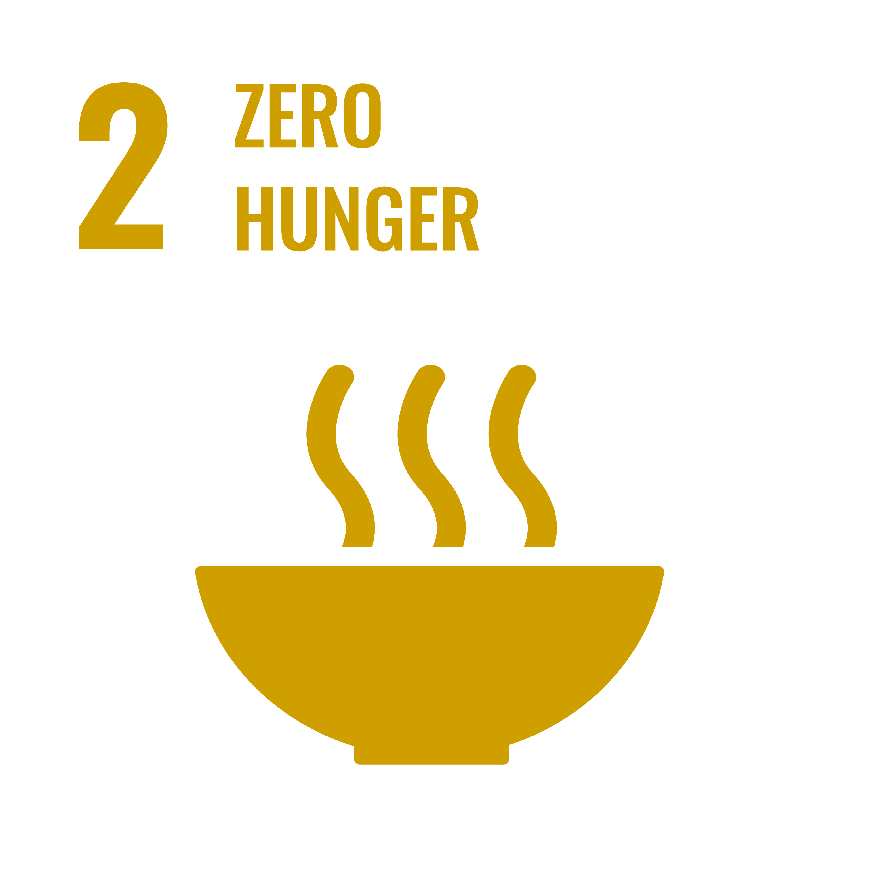 SDG 2 Zero Hunger