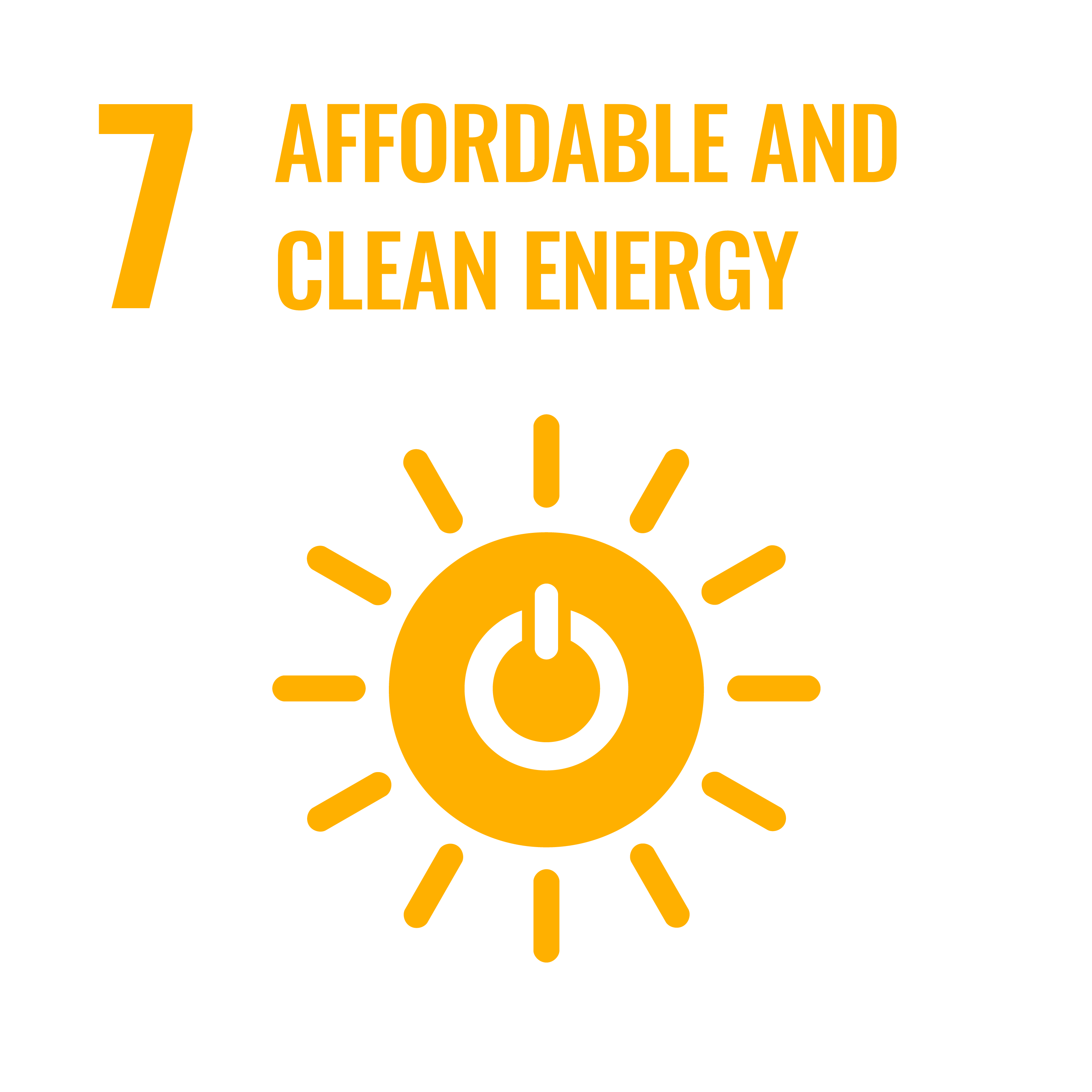 SDG 7 Affordable and Clean Energy