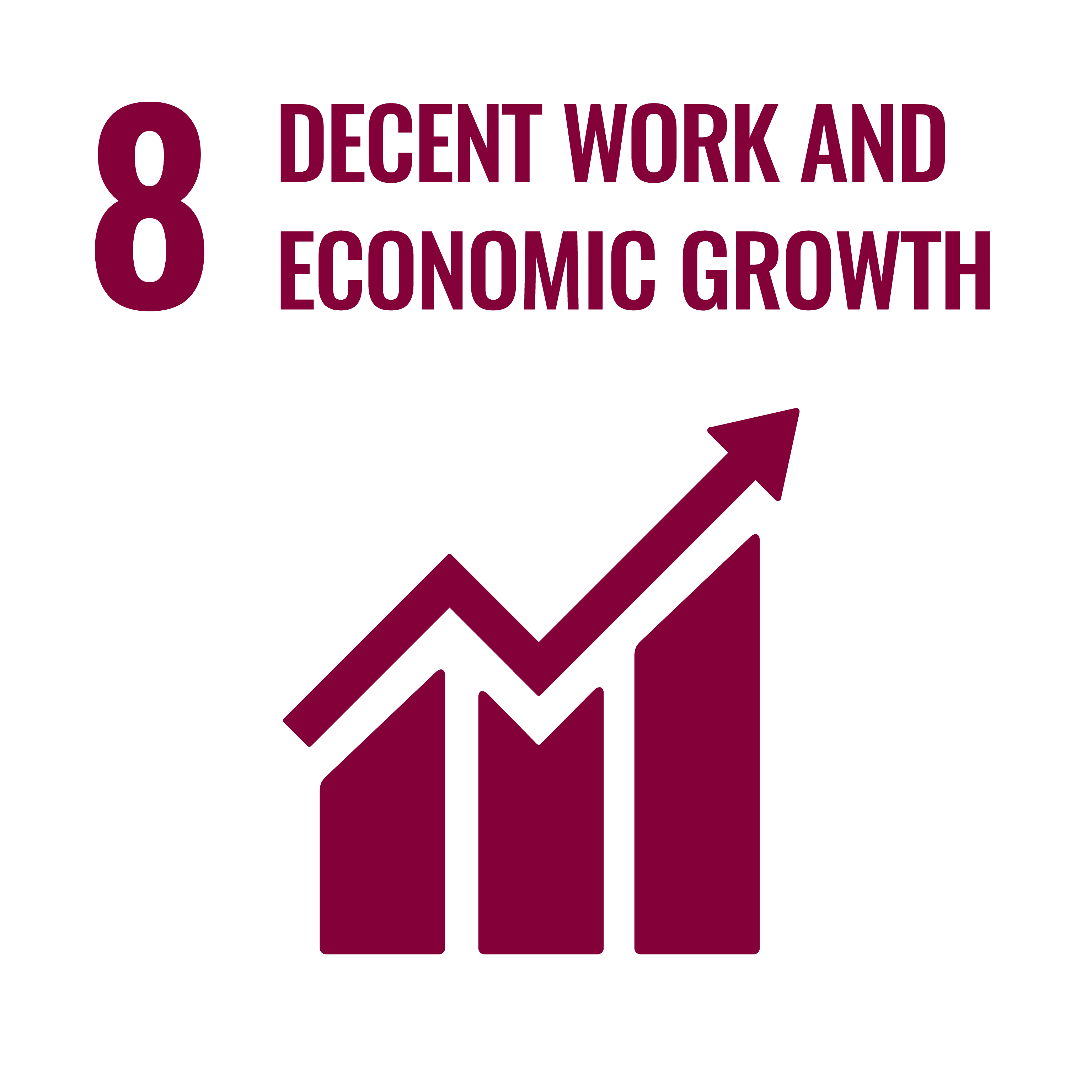 SDG 8 Decent Work and Economic Growth