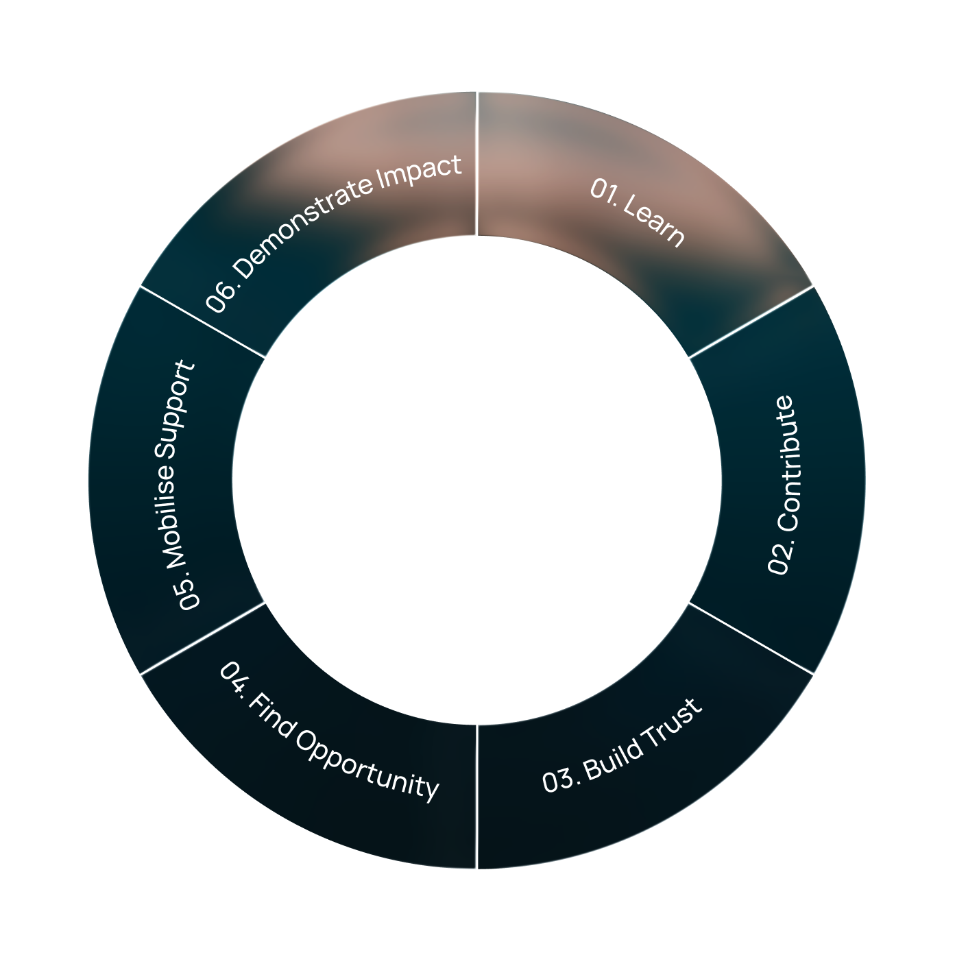 Regenerative innovation system: a cycle of Learn, Contribute, Build Trust, Find Opportunity, Mobilise Support, and Demonstrate Impact.