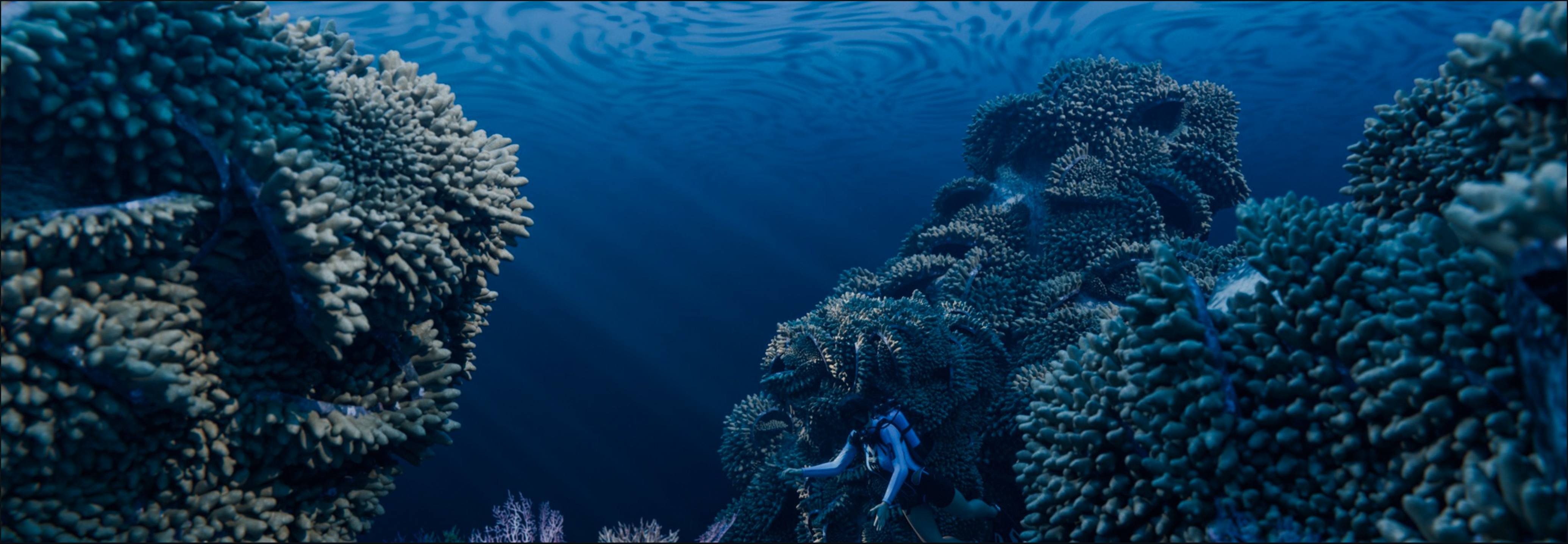 Coral reef formations rising on either side of deep blue open water, with a diver in the distance